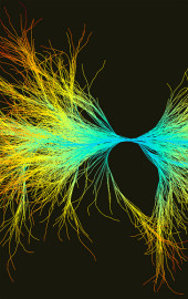 Servoy Tutorial Photo Credit: Gwen Vanhee via Compfight